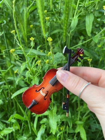 Cello with case